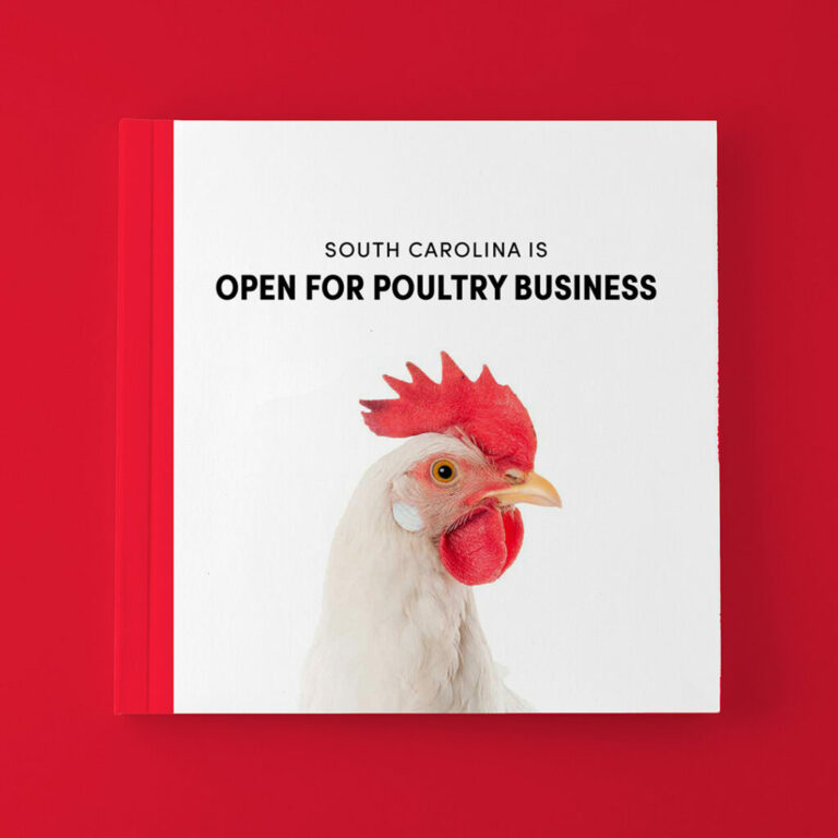 Chicken book cover - open for poultry business